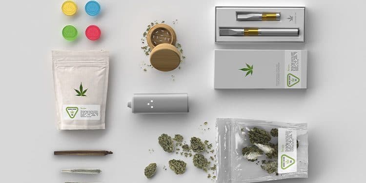 What Cannabis Gear Do I Need? What Cannabis Gear Do I Need?
