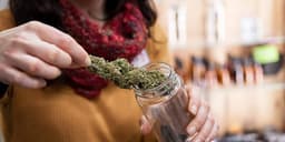How To Talk To Your Budtender So They Can Help You Best How To Talk To Your Budtender So They Can Help You Best