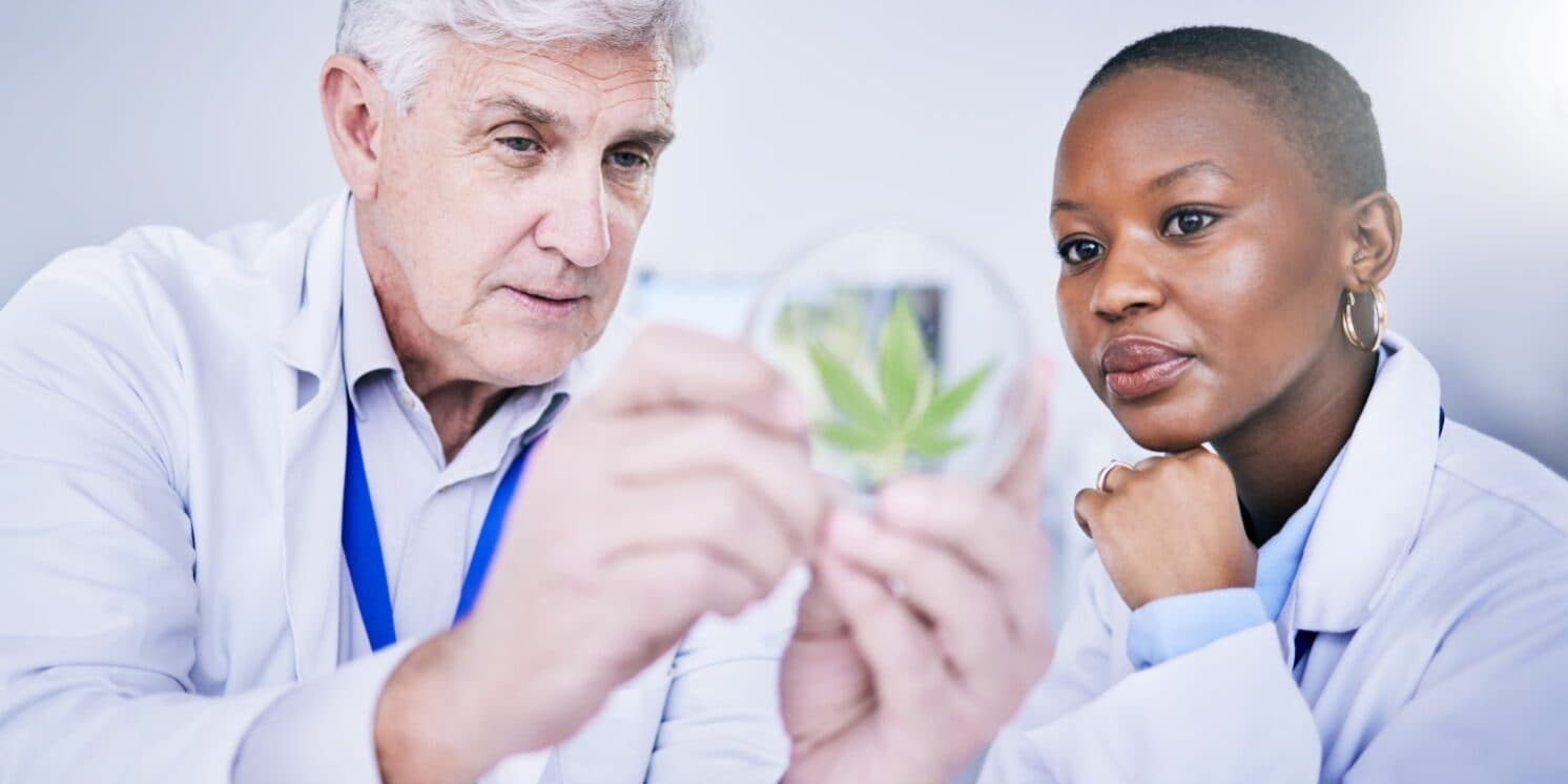 Cannabis and Community Health: Addressing Public Health Concerns and Initiatives Cannabis and Community Health: Addressing Public Health Concerns and Initiatives